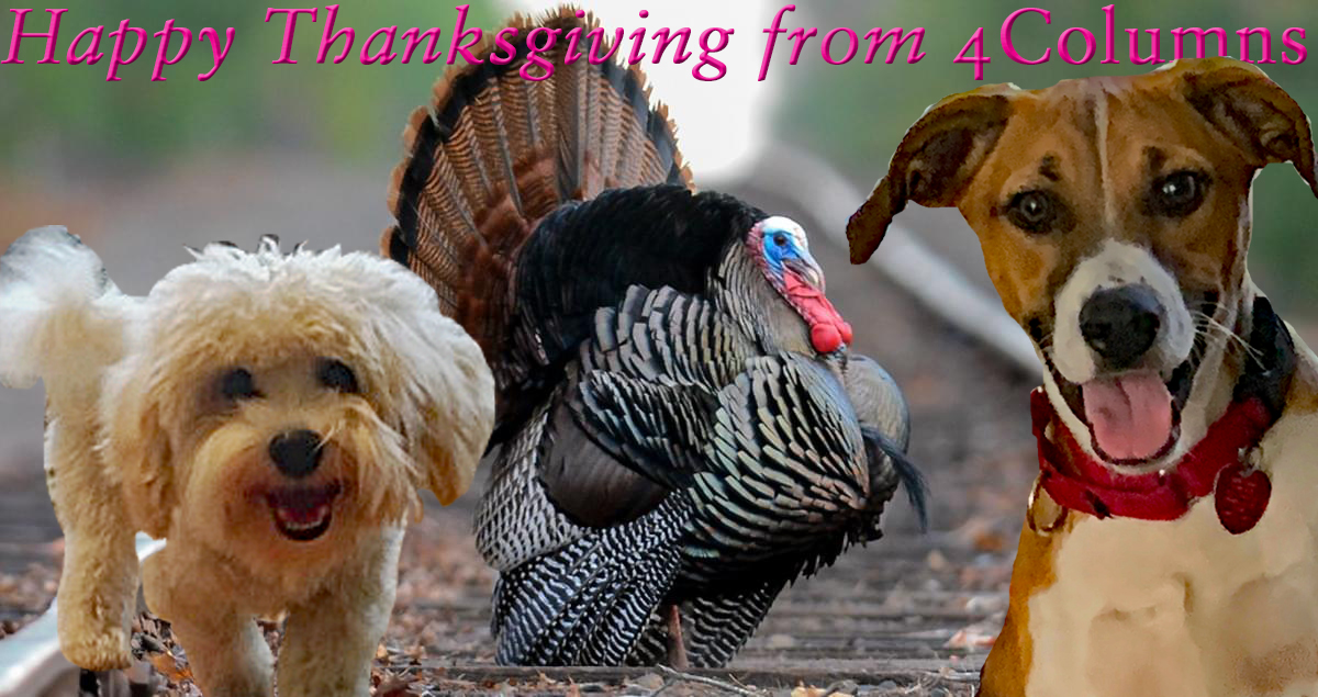 Happy Thanksgiving 2020 4Columns